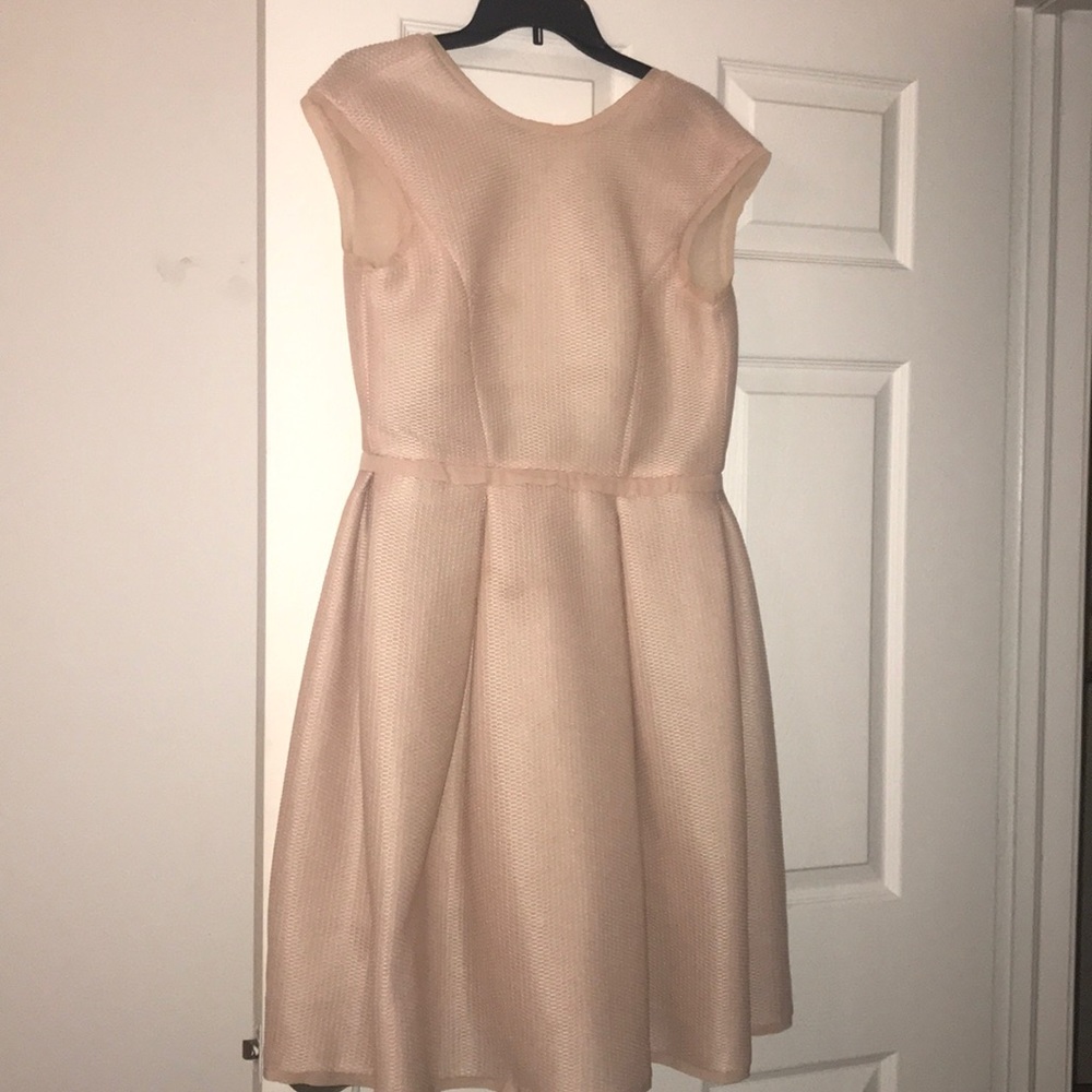 Blush 🌸 Midi Dress